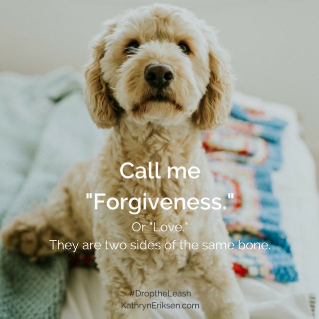 Call me_Forgiveness._